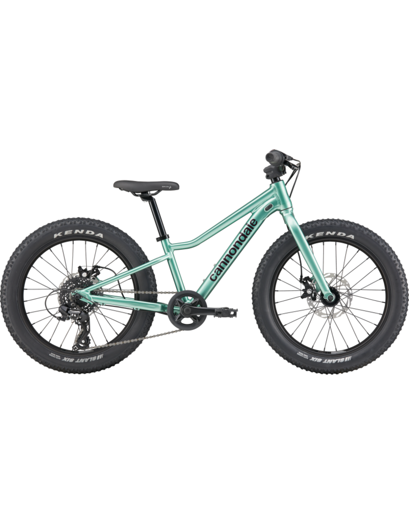 Cannondale Cannondale Kids Trail Plus 20 2026