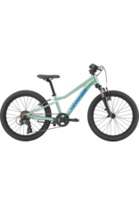 Cannondale Cannondale Kids Trail 20 2026