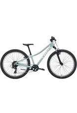 Trek Trek Precaliber 24" Suspension 2027