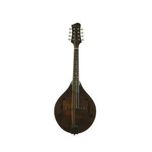 Eastman Strings Eastman - MD305 - 300 Series A Style Mandolin - w/ Gig Bag