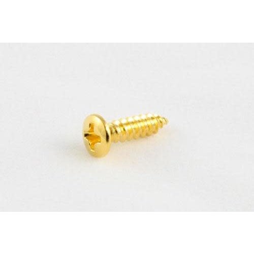 Allparts Allparts - Pickguard Screws Gold - ea Allparts Allparts - Pickguard Screws Gold - ea
