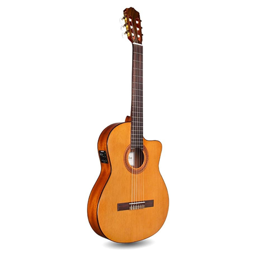 Cordoba Guitars Cordoba - C5-CET - Electro Acoustic Nylon String - Thinline Classical Guitar- Cedar Top
