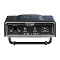 Mesa Boogie - Cab Clone - Eight Ohms