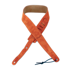 Taylor Guitars Taylor - Guitar Strap - 2.5"- Embroidered Suede - Honey