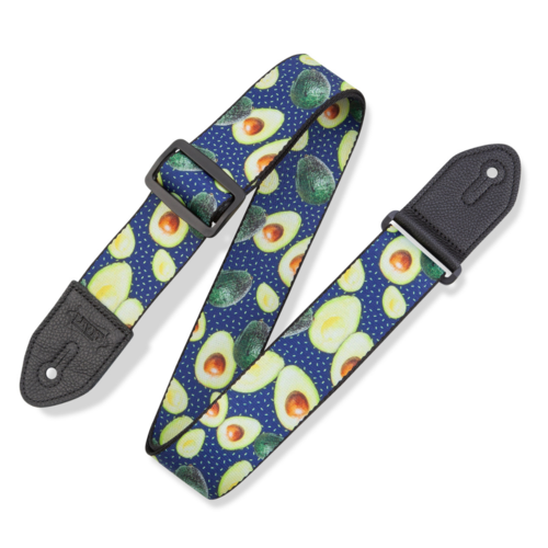 Levy's Levy's - 2" Wide Polyester Guitar Strap - MP2FS-004