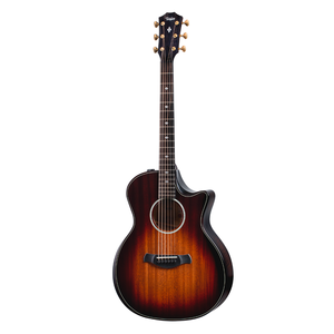 Taylor Guitars Taylor - 324ce Builder's Edition - Urban Ash - Electro Acoustic Guitar - w/ OHSC