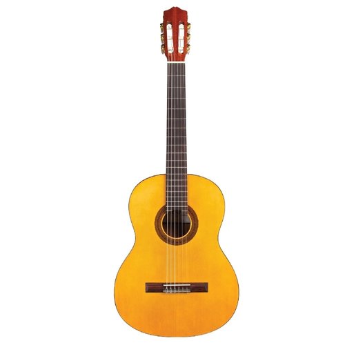 Cordoba Guitars Cordoba - C1 Protege - FULL Size - w/ Gig Bag  - Nylon String Acoustic Guitar - Gloss Finish