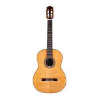 Cordoba - C10 CD - Nylon String Classical Acoustic Guitar - Polyfoam Case - Cedar Top