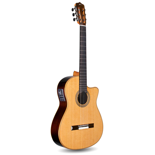 Cordoba Guitars Cordoba - Orchestra CE - Fusion 12 frets - Nylon String - Electric Acoustic Guitar - Cedar Top