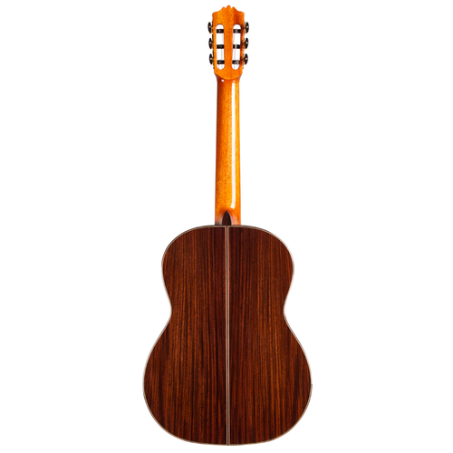 Cordoba Guitars Cordoba - C10 SP - Nylon String Classical Acoustic Guitar - Polyfoam Case - Solid European Spruce Top