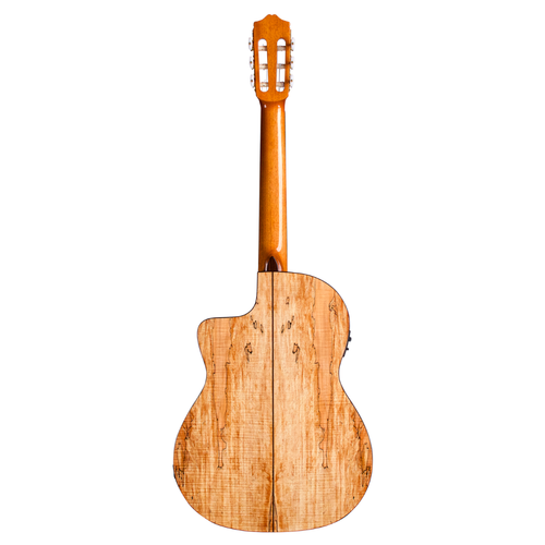 Cordoba Guitars Cordoba - C5-CET - Limited Edition - Electro Acoustic Nylon String - Thinline Classical Guitar- Cedar Top