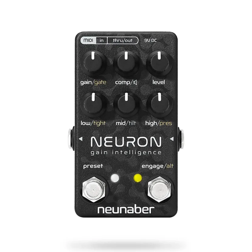 Neunaber Neunaber - Neuron Gain Intelligence - Reverb