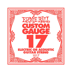 Ernie Ball Ernie Ball -  Plain Steel - Acoustic or Electric Guitars Single String - .17