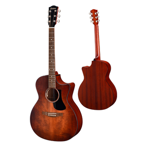 Eastman Eastman - PCH1-GACE-CLA - Grand Auditorium - Electro Acoustic Guitar - w/ Gig Bag - Classic