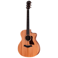 Taylor - 24ce - Electro Acoustic Guitar -  w/ Gig Bag