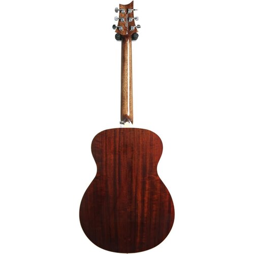 PRS PRS SE - TE40E - Mahogany Neck - PRS/Fishman Pickup - Tobacco Sunburst - w / Hardshell Case PRS PRS SE - TE40E - Mahogany Neck - PRS/Fishman Pickup - Tobacco Sunburst - w / Hardshell Case