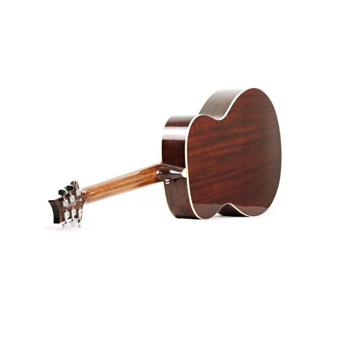 PRS PRS SE - TE40E - Mahogany Neck - PRS/Fishman Pickup - Tobacco Sunburst - w / Hardshell Case PRS PRS SE - TE40E - Mahogany Neck - PRS/Fishman Pickup - Tobacco Sunburst - w / Hardshell Case