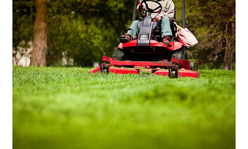 Mowing & Cutting