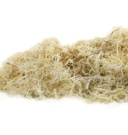 Astragalus Root CO cut 8oz