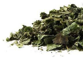 Blackberry Leaf CO cut  8 oz