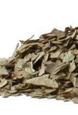 Boldo Leaf cut  1 oz