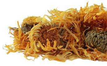 Calendula Flowers CO cut  8oz