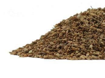 Celery Seed CO whole  2oz