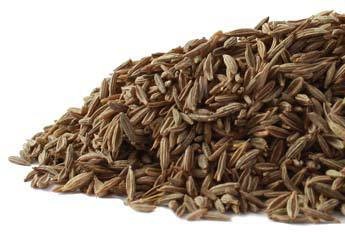 Cumin Seed CO whole  1oz
