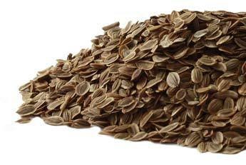 Dill Seed CO whole  2oz
