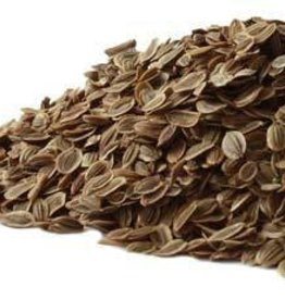 Dill Seed CO whole  8oz