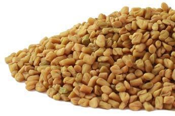 Fenugreek Seed CO whole 16oz