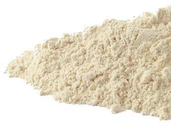 Garlic CO powder 16 oz