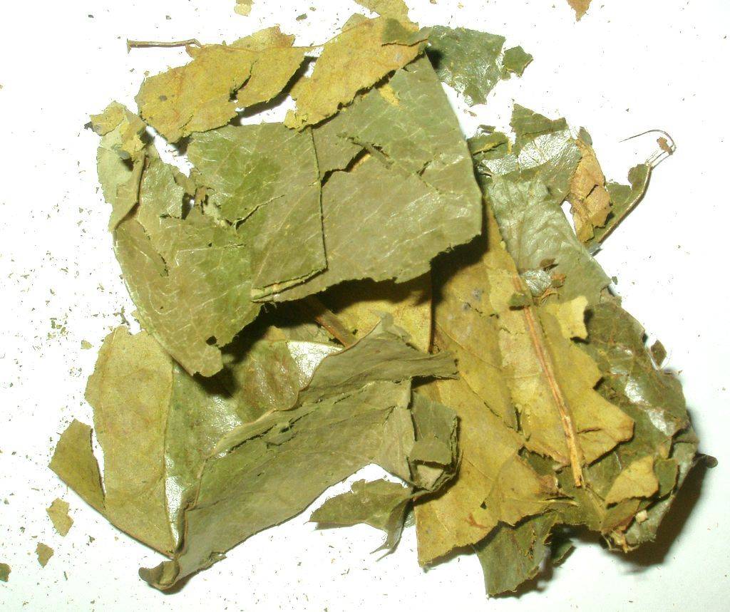 Graviola whole/cut leaf  1oz