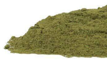 Gymnema CO powder  2oz