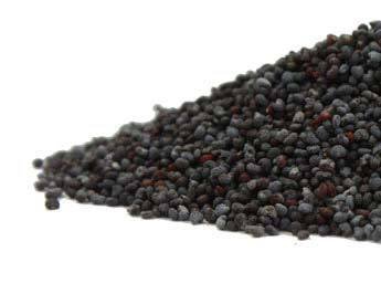 Poppy Seed CO Blue whole  2oz