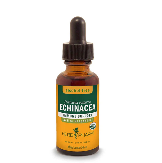 Herb Pharm Echinacea glycerite - 1 fl oz