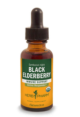 Herb Pharm Black Elderberry ext - 1 fl oz
