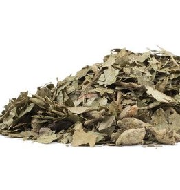 Witch Hazel Leaf CO cut  1oz