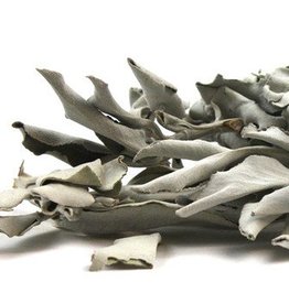 White Sage whole  8oz