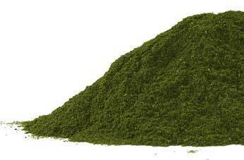 Wheatgrass powder CO  2oz