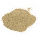 Stone Root powder  1oz