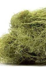 Usnea Lichen  2 oz