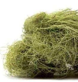 Usnea Lichen  2 oz