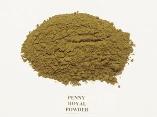 Pennyroyal Leaf powder  8oz