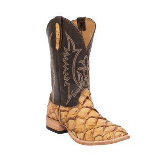 Fenoglio Boot Co. Saddle Tan Arapaima w/ Nicotine Oil Pullup Fenoglio Boot Co. Saddle Tan Arapaima w/ Nicotine Oil Pullup