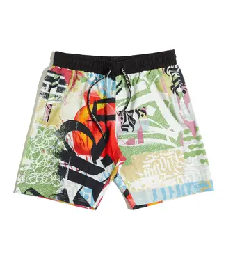 Tubsz Studios Tubsz Studios Verano De Playas Shorts