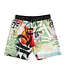 Tubsz Studios Tubsz Studios Verano De Playas Shorts