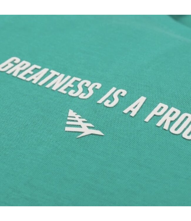 Paper Planes Paper Planes Greatness Is A Process Tee Arcadia Green