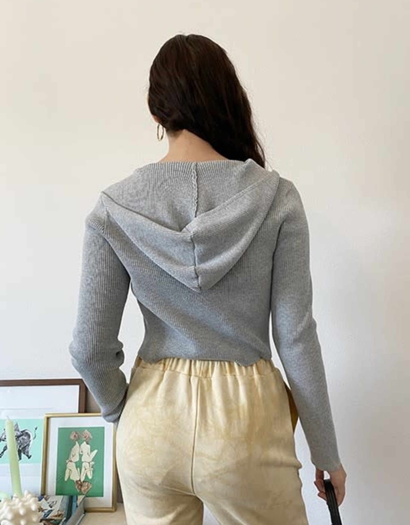 Zara Cropped Hoodie - Catalog Connection