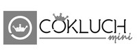 Cokluch